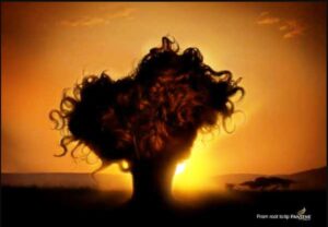A creative print ad from Pantene